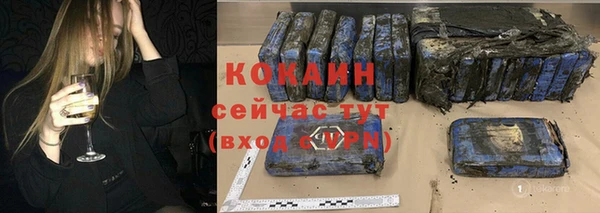 шишки Магадан