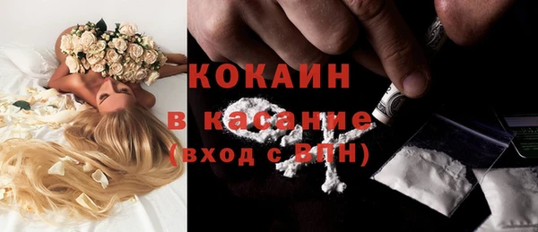 ПСИЛОЦИБИНОВЫЕ ГРИБЫ Магас
