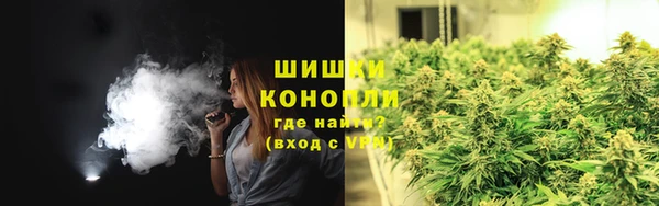 ПСИЛОЦИБИНОВЫЕ ГРИБЫ Майский