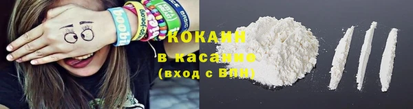 шишки Магадан