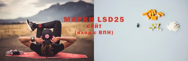 ПСИЛОЦИБИНОВЫЕ ГРИБЫ Магас