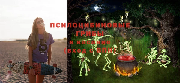 ПСИЛОЦИБИНОВЫЕ ГРИБЫ Майский