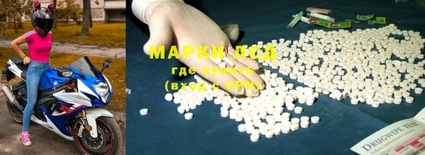 ПСИЛОЦИБИНОВЫЕ ГРИБЫ Магас