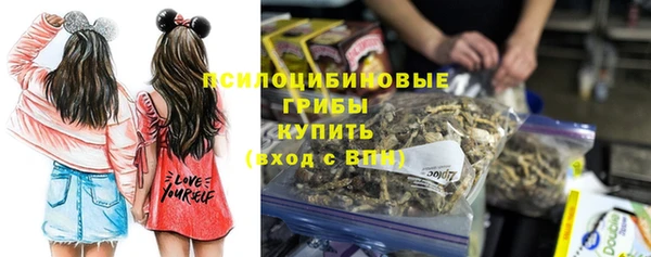 ПСИЛОЦИБИНОВЫЕ ГРИБЫ Магас