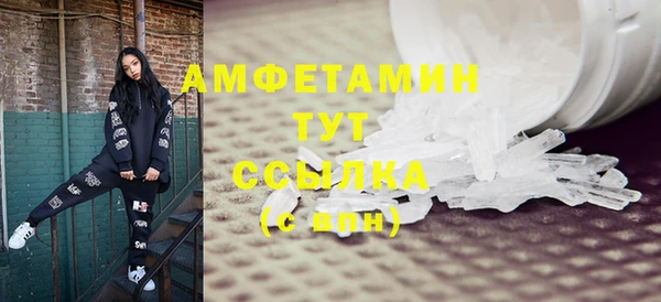 ПСИЛОЦИБИНОВЫЕ ГРИБЫ Магас